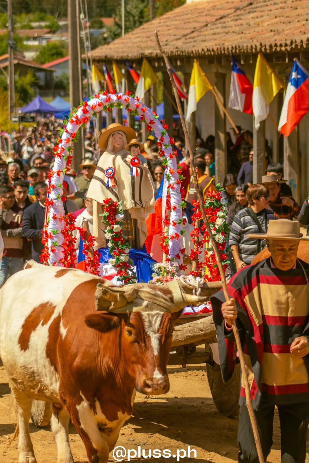 Comunidad educativa de la Escuela de Nirivilo durante la Fiesta de la Virgen Campesina